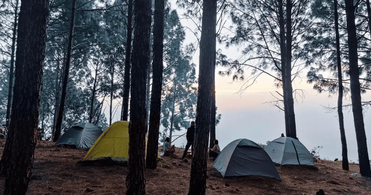 Pack Like a Smart Traveller